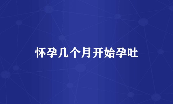 怀孕几个月开始孕吐
