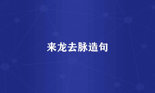 来龙去脉造句