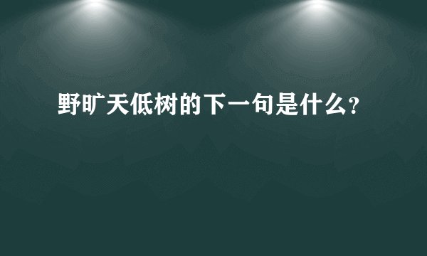 野旷天低树的下一句是什么？