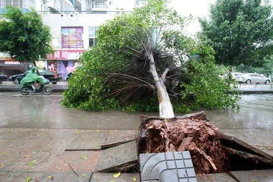 台风将登陆海南,为什么台风总是去海南?