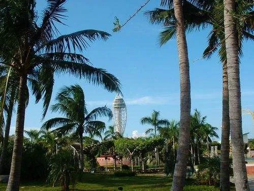 海口拍婚纱照好么 省钱又漂亮的婚照外景地推荐
