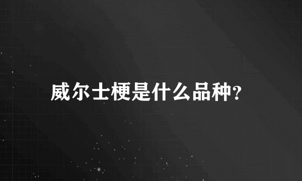 威尔士梗是什么品种?