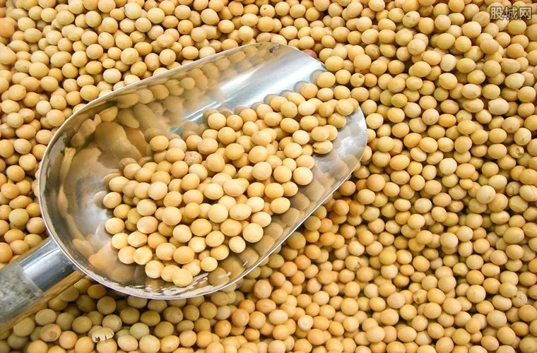 中国大豆崛起 主要因进口大豆价格上行