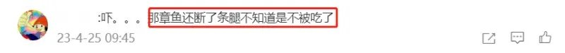 含有剧毒的蓝环章鱼 正在悄悄混入市场