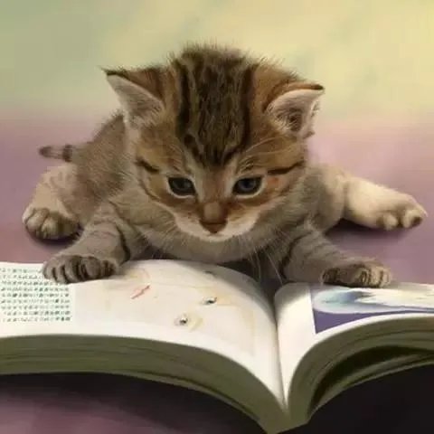 鱼顺顺