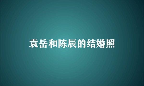 袁岳和陈辰的结婚照