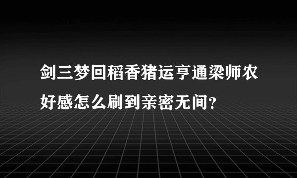 剑三梦回稻香猪运亨通梁师农好感怎么刷到亲密无间？