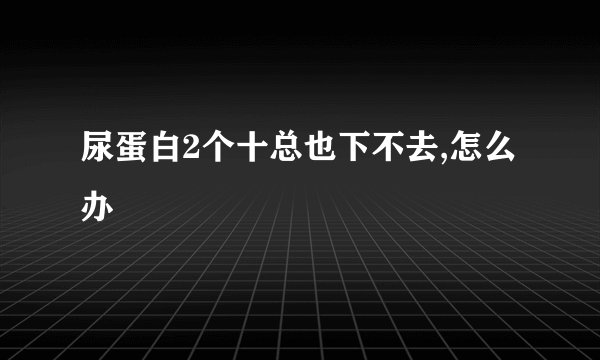 尿蛋白2个十总也下不去,怎么办