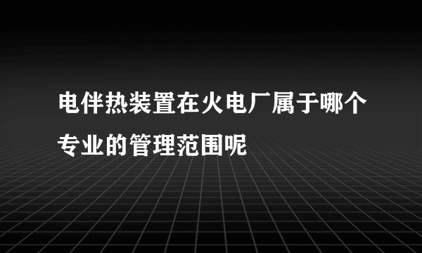 电伴热装置在火电厂属于哪个专业的管理范围呢