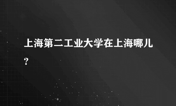上海第二工业大学在上海哪儿？