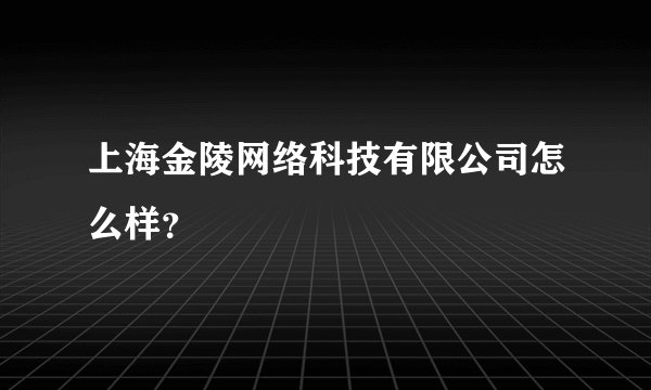 上海金陵网络科技有限公司怎么样?