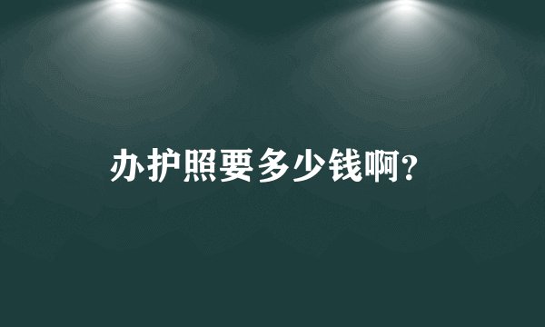 办护照要多少钱啊？