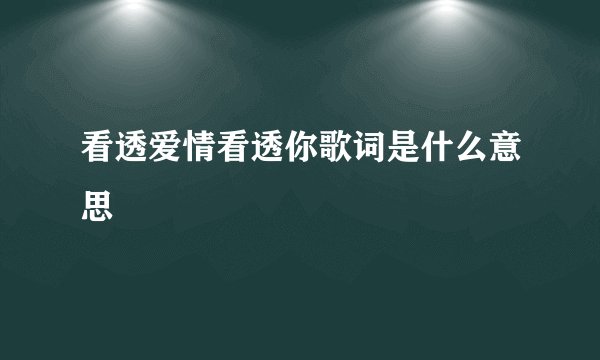 看透爱情看透你歌词是什么意思