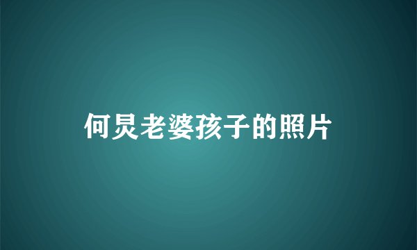 何炅老婆孩子的照片