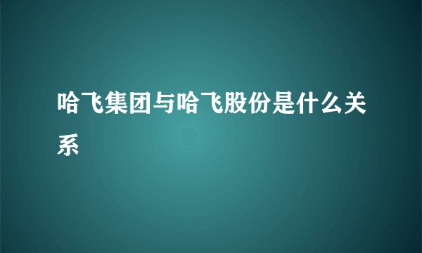 哈飞集团与哈飞股份是什么关系