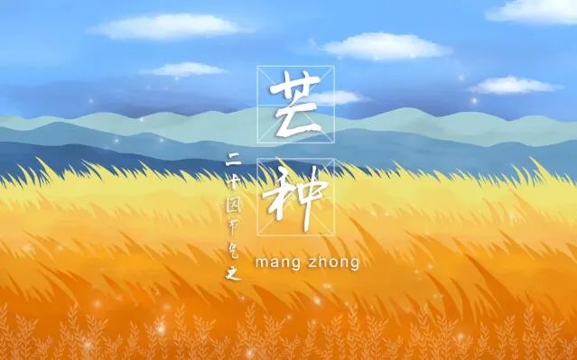 关于芒种有诗意的句子 描写芒种节气的优美句子