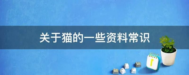 关于猫的一些资料常识