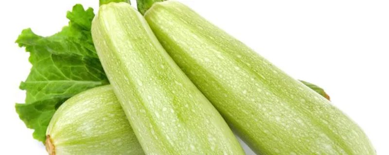 什么是北瓜 北瓜是什么