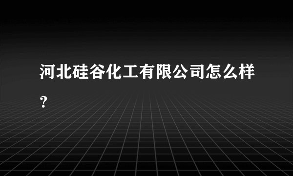 河北硅谷化工有限公司怎么样？