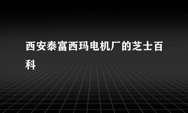 西安泰富西玛电机厂的芝士百科