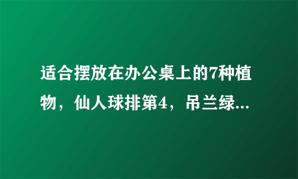适合摆放在办公桌上的7种植物,仙人球排第4,吊兰绿萝未上榜