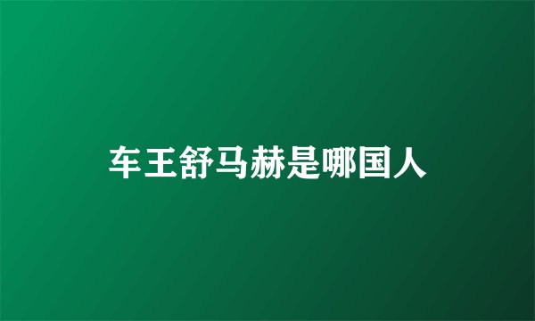 车王舒马赫是哪国人