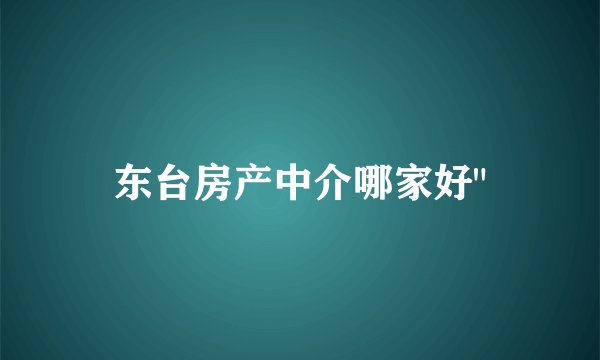 东台房产中介哪家好