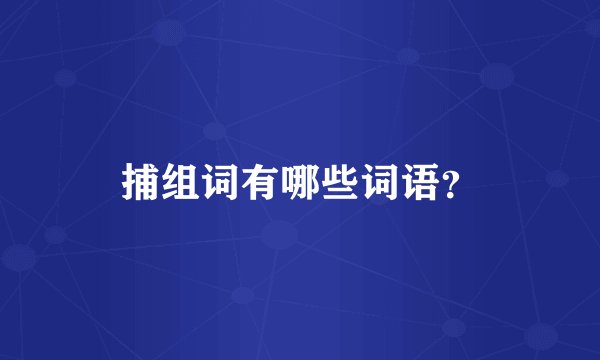 捕组词有哪些词语？