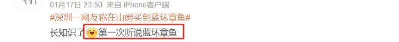 含有剧毒的蓝环章鱼 正在悄悄混入市场