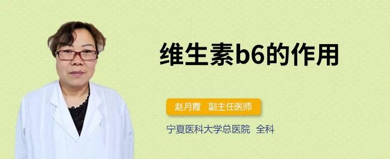 维生素b6的作用