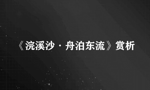 《浣溪沙·舟泊东流》赏析
