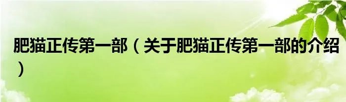 肥猫正传第一部（关于肥猫正传第一部的介绍）