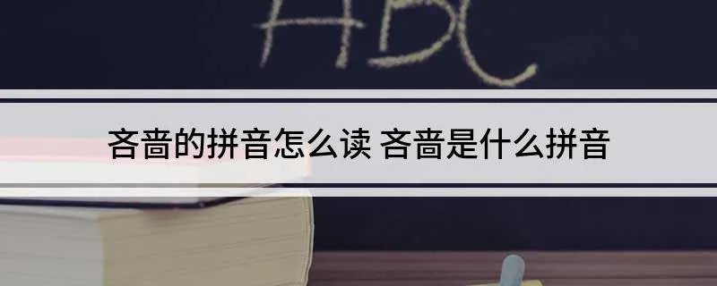 吝啬的拼音怎么读 吝啬是什么拼音