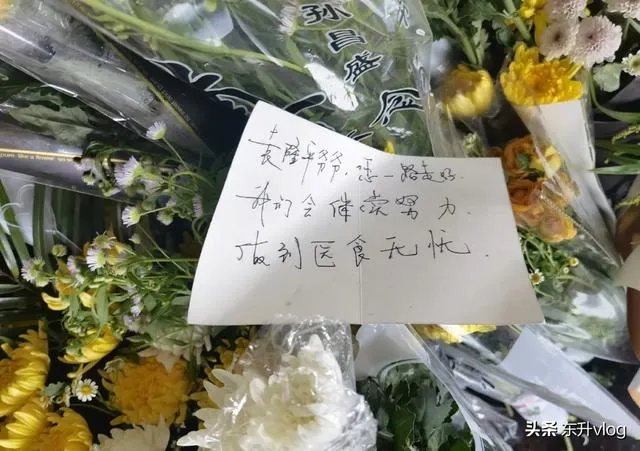 袁隆平院士逝世,为什么张庭照常直播被网友骂哭?