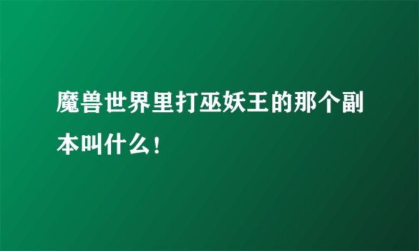 魔兽世界里打巫妖王的那个副本叫什么！