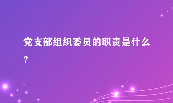 党支部组织委员的职责是什么？