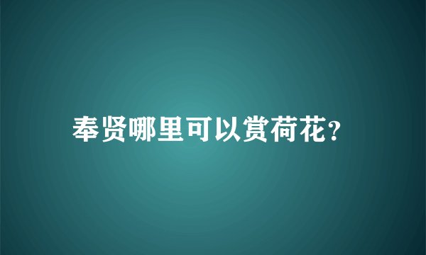 奉贤哪里可以赏荷花？