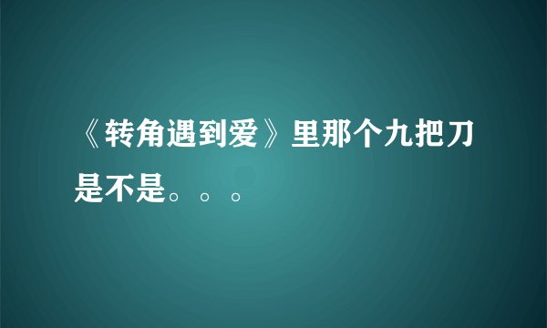 《转角遇到爱》里那个九把刀是不是。。。