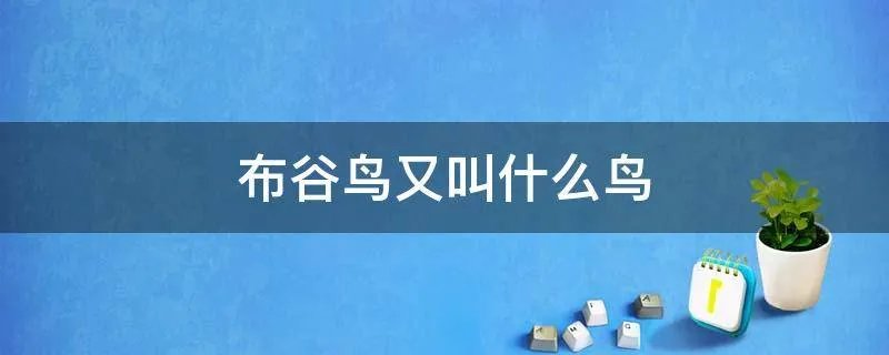 布谷鸟又叫什么鸟