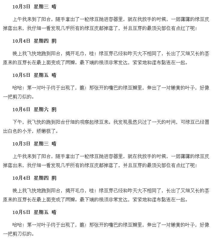 豆芽观察日记七天