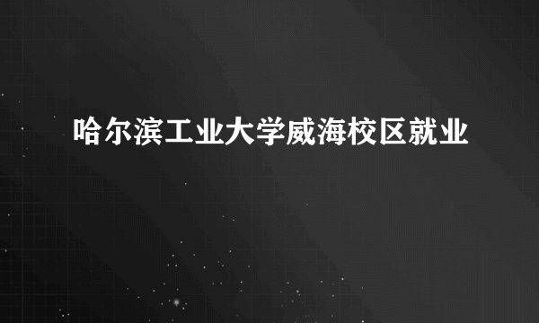 哈尔滨工业大学威海校区就业