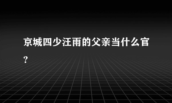 京城四少汪雨的父亲当什么官？