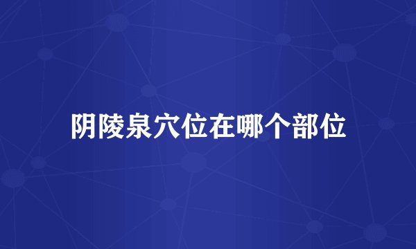 阴陵泉穴位在哪个部位
