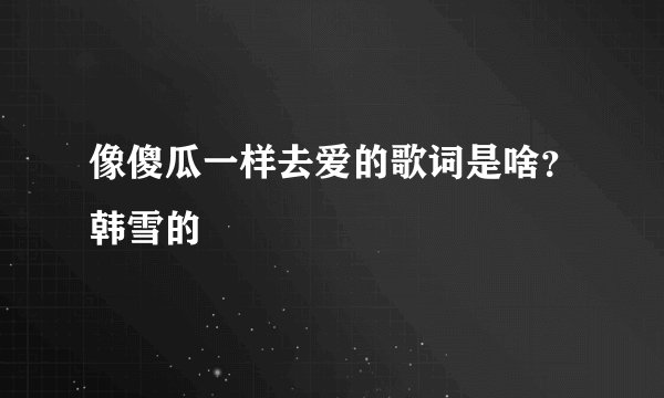 像傻瓜一样去爱的歌词是啥？韩雪的
