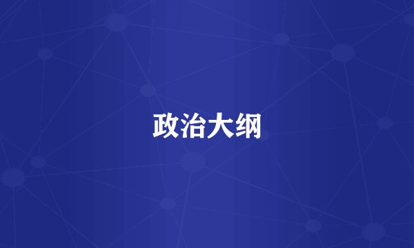 政治大纲