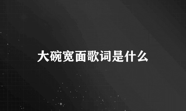 大碗宽面歌词是什么