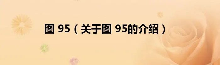 图 95(关于图 95的介绍)