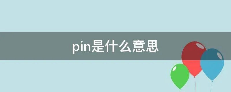 pin是什么意思