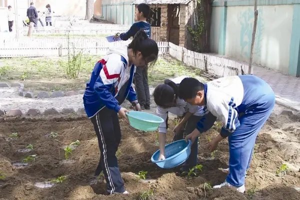 如何看待劳动课正式升级为中小学独立课程?对学生有什么益处?