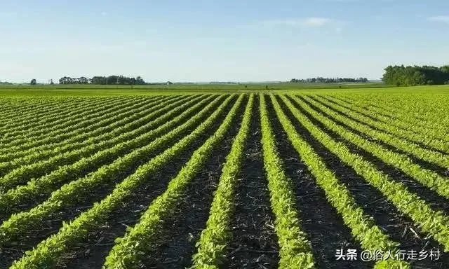 未来我国农机化发展趋势是怎样的?
